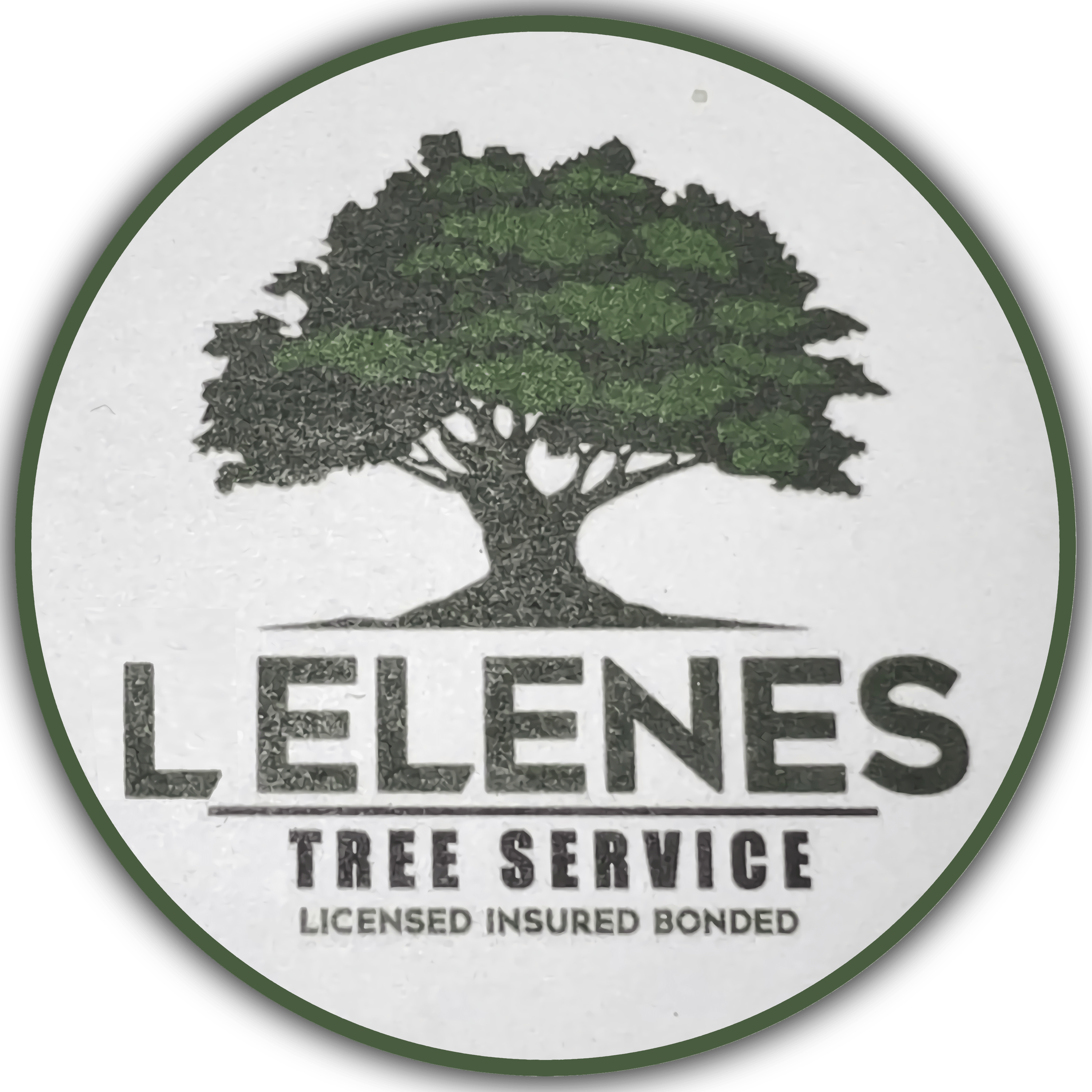 L Elenes Tree Service Does Brush Removal in Fresno, CA 93701