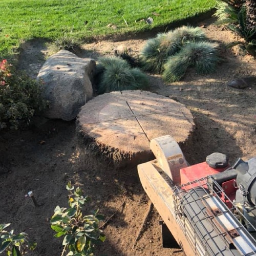 Stump Grinding